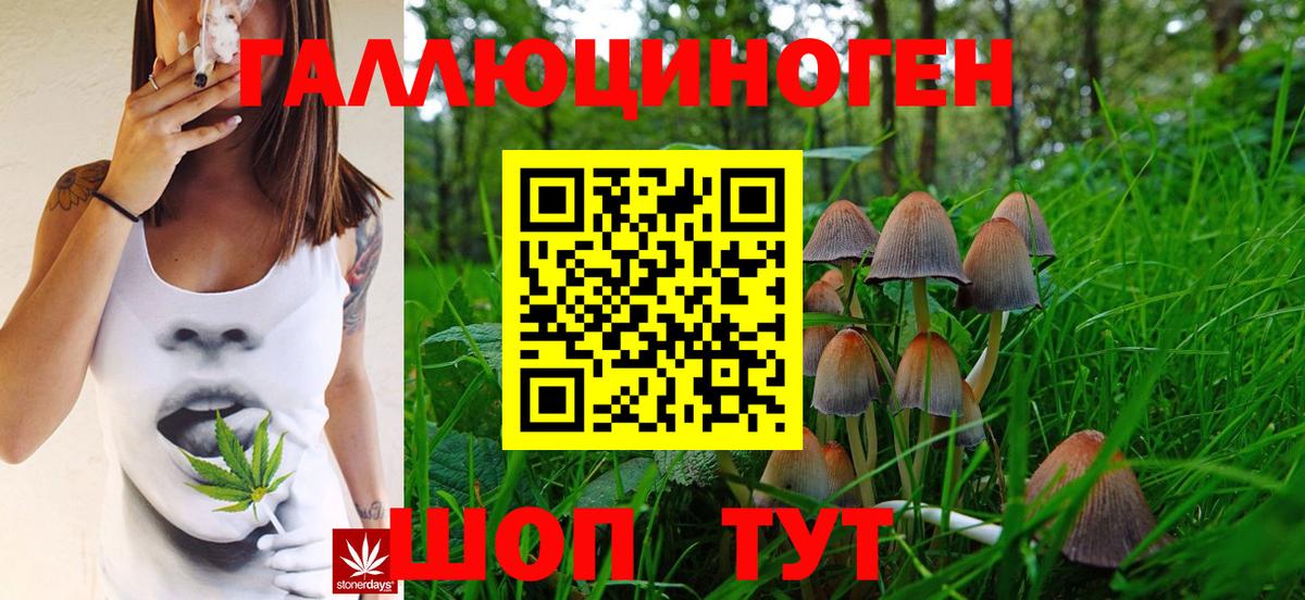 Псилоцибиновые грибы Magic Shrooms  Вход с VPN  Тольятти 